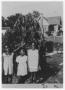 Photograph: [Portrait of Three Young Girls]