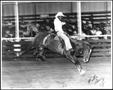 Photograph: [Rodeo Cowboy Willie Gomez Participating in Bronco Riding]