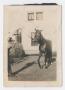Photograph: [Photograph of William King's Bridled Horse]