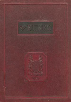 The Burro, Yearbook of Mineral Wells High School, 1929