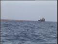 Video: [News Clip: Oil slick (Boat story)]