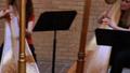 Primary view of [A video of six harpists performing as a group, 1]