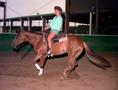 Photograph: [A woman riding a horse]