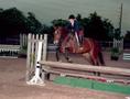 Photograph: [Horse jumping over an obstacle]