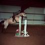 Thumbnail image of item number 1 in: '[A light brown horse with black socks jumping over an obstacle, 2]'.