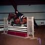 Photograph: [A dark brown horse with black socks jumping over an obstacle]