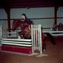 Thumbnail image of item number 1 in: '[A dark brown horse with black socks jumping over an obstacle, 2]'.