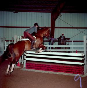 Primary view of object titled '[A dark brown horse with white socks jumping over an obstacle]'.