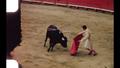 Video: [Bullfighting video footage, 1962 & 1964]