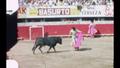Video: [Bullfighting video footage, August & September 1966]