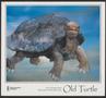 Poster: [Old Turtle]