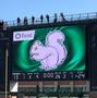 Photograph: [Image of the UNT White Squirrel Mascot on the Jumbotron at a UNT Foo…