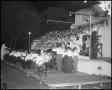 Photograph: [Campus Choir Performing Outside at Night]