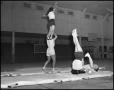 Photograph: [Women's Gymnastics students practicing stunts, 1942]