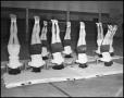 Photograph: [Women's Gymnastics students practicing head stands, 1942]