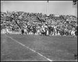 Primary view of [North Texas Vs. Tulsa Football Game, 1961]