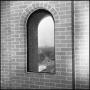 Photograph: [Exterior view of a fourth-floor window at Willis Library]