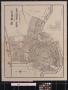 Thumbnail image of item number 1 in: 'The Picayune's Map of New Orleans'.