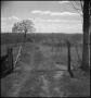 Photograph: [Gate to the Homestead]