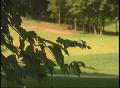 Video: [News Clip: Golf Death]