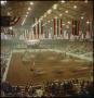 Photograph: [Rodeo arena floor in Odessa, Texas]