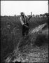 Photograph: [Man scything wheat while people watch]