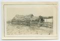 Photograph: [Jacal Home With Thatched Roof]