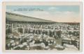 Postcard: [Houston Cotton Wharf]