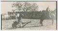Photograph: [Cowhands with Roped Calf]