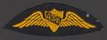 Physical Object: [Aircraft Owners and Pilots Association Patch]