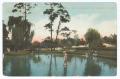 Postcard: [Lake within Sam Houston Park]