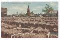 Postcard: [Waco Inland Cotton Market]