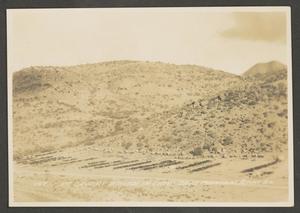 [Cavalry Camp in the Davis Mountains]