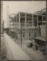 Photograph: [Brownsville Post Office Construction]