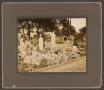 Photograph: [Photograph of Grave Markers]