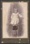 Photograph: [Photograph of a Small Child Standing in a Chair]
