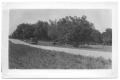 Photograph: [Branch East of Creek Near Justin]