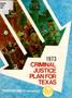 Book: Criminal Justice Plan for Texas: 1973