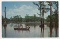 Postcard: [Postcard of Caddo Lake with Four People in a Motot Boat among the Tr…