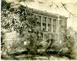Photograph: [College of Marshall Main Building Viewed through Tree Branches]