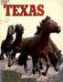 Book: Texas Travel Handbook