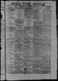 Newspaper: Daily State Journal. (Austin, Tex.), Vol. 1, No. 212, Ed. 1 Wednesday…