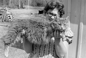 Primary view of object titled '[Barbara Lewis Holding a Maine Coon Cat]'.