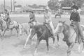 Photograph: [Horse Riders at the South Texas State Fair]