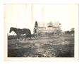 Photograph: [Photograph of a Covered Wagon in Bayside]