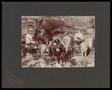 Photograph: [Allen family riding donkeys in Mineral Wells]