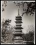 Photograph: [Botanic Garden Pagoda]