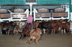 Primary view of Cutting Horse Competition: Image 1997_D-115_33