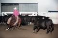 Photograph: Cutting Horse Competition: Image 1997_D-604_16