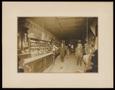 Primary view of [Panther Row Grocery Store, Bonham]